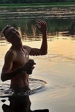 Panzer - Blois Boy Escorts