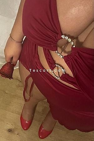 Lina - Albi Escorts