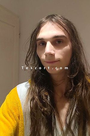 FoxyFemboy - Escort Trans Toulouse