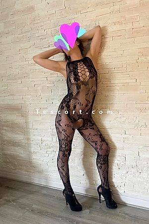 Ladymilady, UNIQUEMENT WHATSAPP  SVP - Lille Escorts