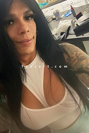 Aliatatuada - Escort Trans Paris