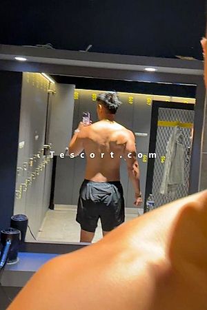 Board - Bourges Boy Escorts
