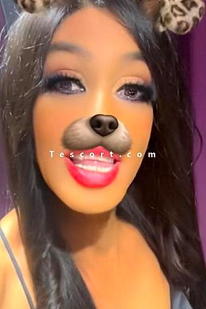 Inestrav - Escort Trans Lyon