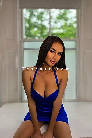 Dream - Paris Escorts