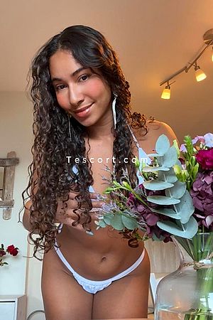 Aurora Martini Photo #2