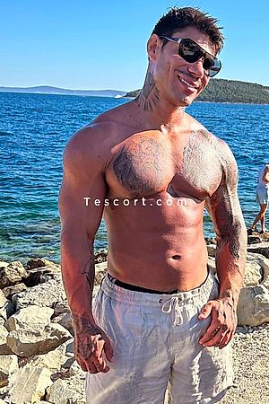 Pedro xxl - Nice Boy Escorts