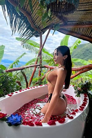 Paulina - Nice Escorts