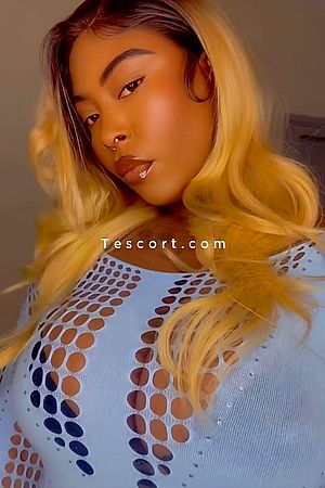 sugar - Roubaix Escorts