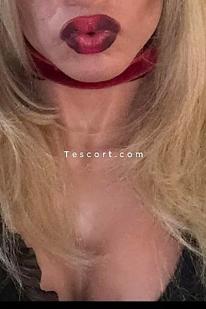 TravShanna31 - Toulouse Trans Escorts