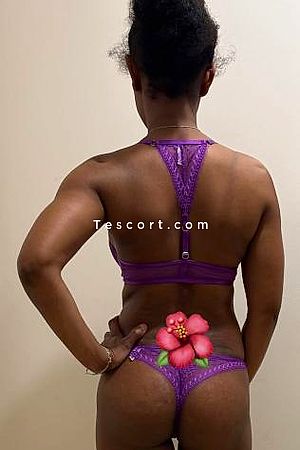Francia top models - Escort Girl Angoulême