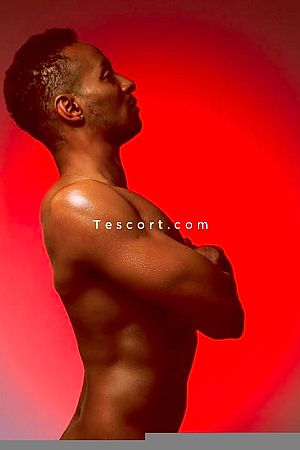 dave67 - Escort Boy Strasbourg