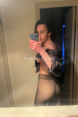 eaudecarlate - Toulouse Trans Escorts