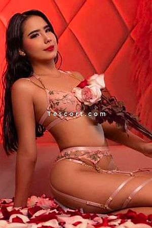 Ariana - Paris Escorts