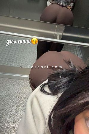 nia deplace - Escort Girl Toulouse