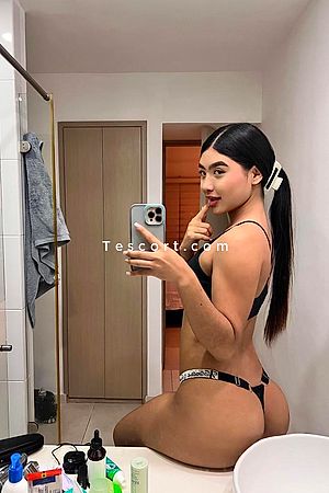 Sofia - Paris Escorts