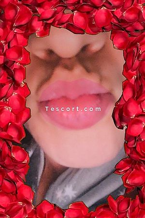 Leila590 - Lille Escorts