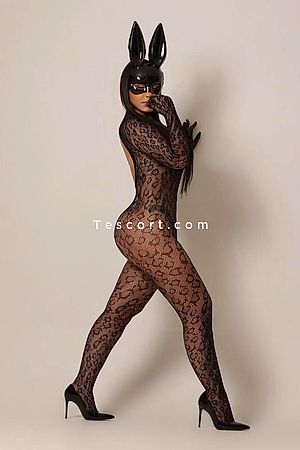 Laisa Bittencourt - Escort Girl Versailles