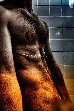 Deplacementem - Paris Boy Escorts