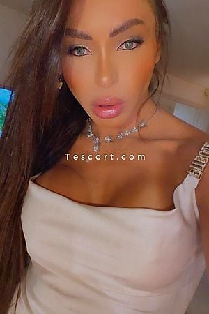 La Belle Diamond - Nice Trans Escorts