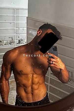 Zayn31 - Escort Boy Toulouse