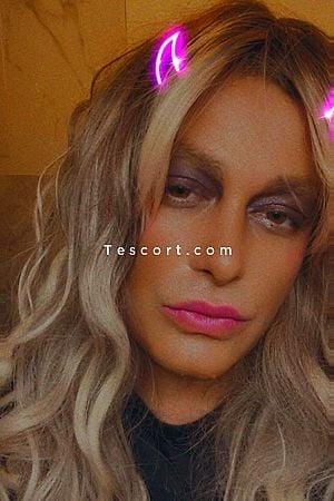 Leptico - Escort Boy Bordeaux