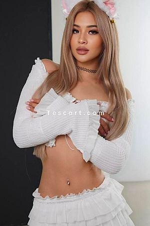AMINA - Escort Girl Paris