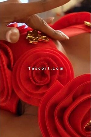 sensuelle.brittany - Escort Girl Paris