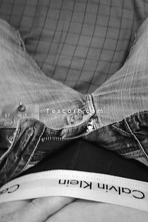 Hedonist17 Photo