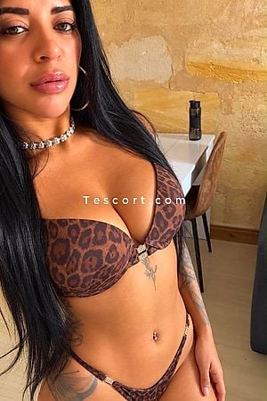 Viic - Toulouse Escorts