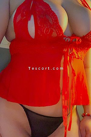Kimi massage 13001 - Marseille Escorts