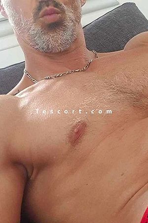 Elko64 - Male escorts Biarritz