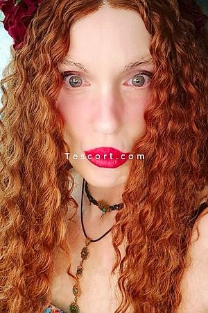 Sophia Snow - Escort Girl Nice