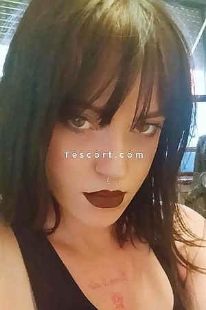 virtualmermaid - Escort Girl Perpignan