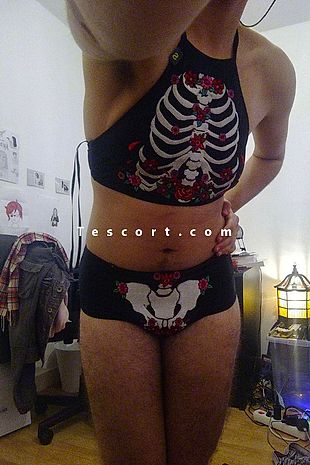 escort transexuel rennes