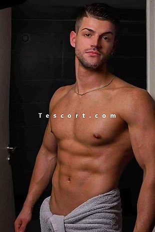 Male Escorts Sacramento