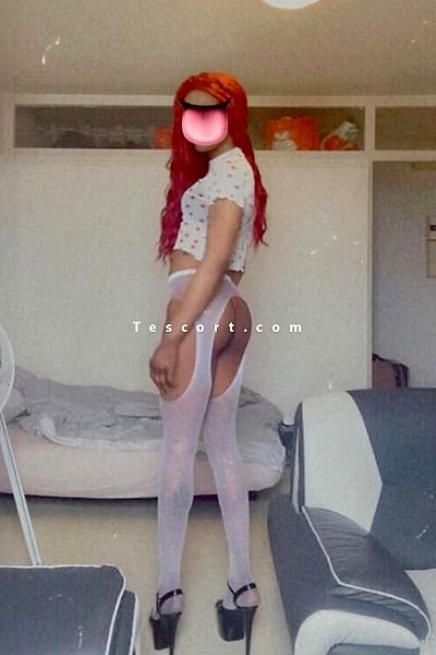 BarbieTrav - Saint Ouen Trans Escorts #3