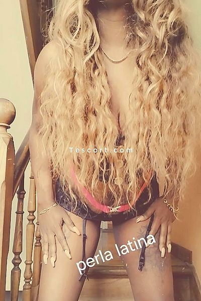 Perla latina - Lille Escorts #15