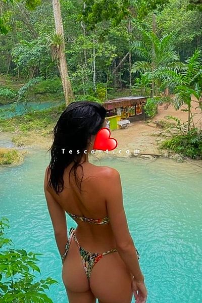 Nouvelle ici - Escort Girl Lille #7