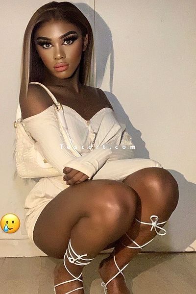 Narymel - Escort Trans Paris #6