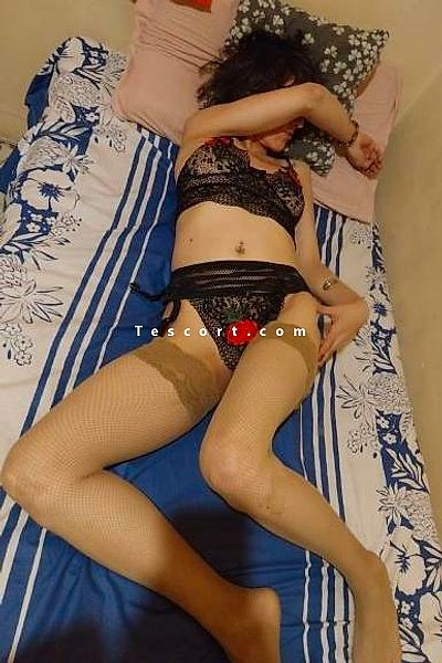Eva - Ajaccio Escorts #5