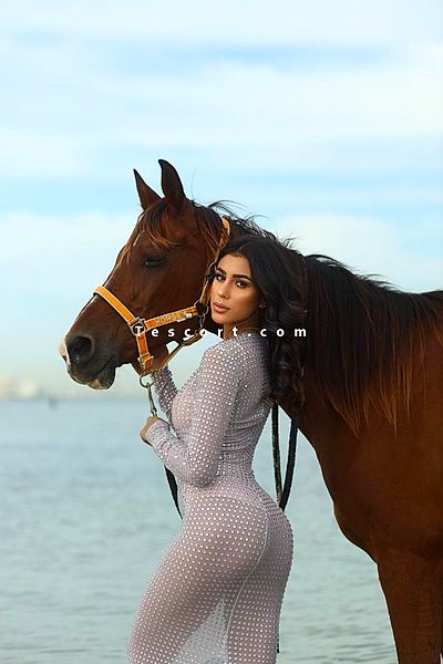 Livia brazil - Boulogne-Billancourt Escorts #2