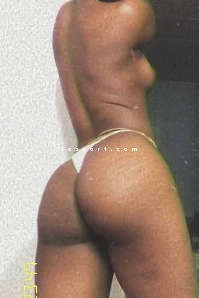 Freegirl - Escort Girl Rennes #1