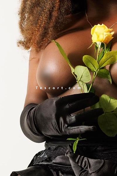 Mia - Lille Escorts #5