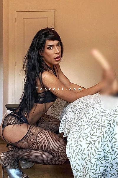 TravSachaTop20cm - Lyon Trans Escorts #8