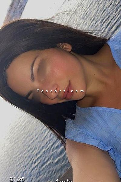 Rose francaise magnifique - Escort Girl Avignon #15