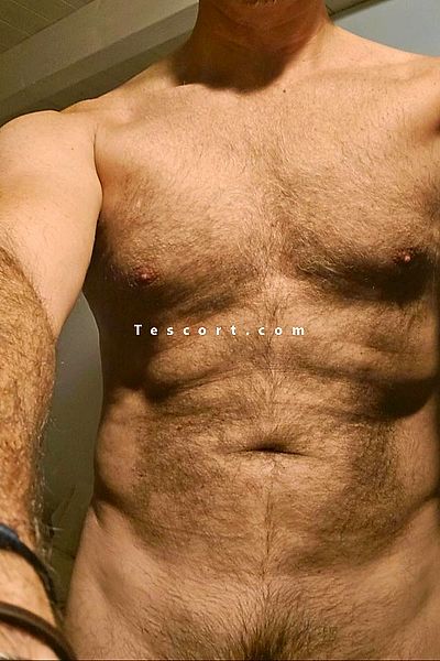 Gentleman - Bordeaux Boy Escorts #3