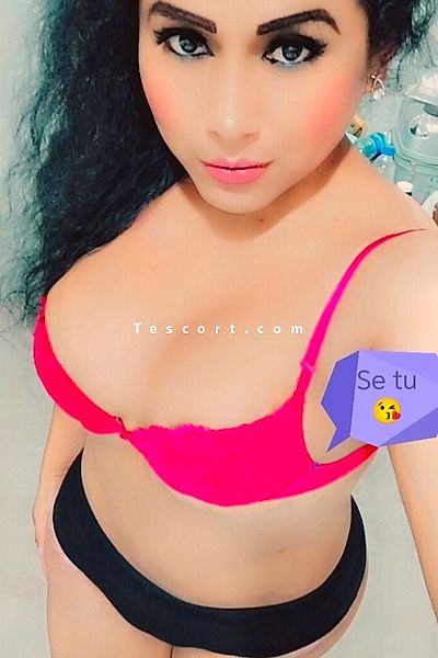 Andrea - Saint Ouen Trans Escorts #5