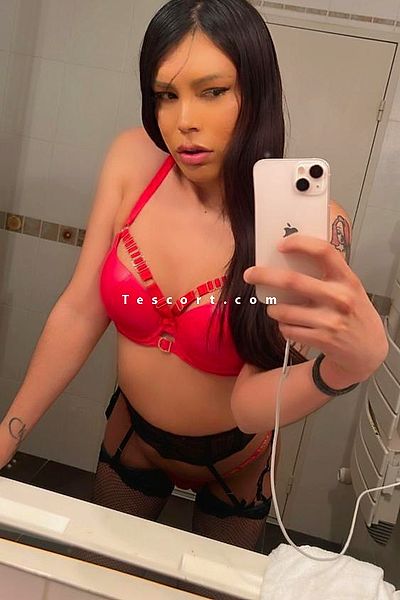 Ashley - Nice Trans Escorts #2