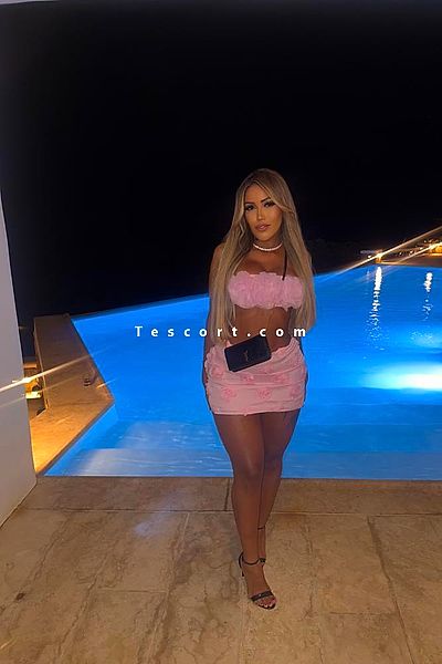 Nick Cardi - Créteil Escorts #20