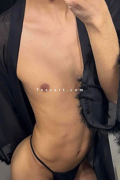 SEXY ZAHIA - Lille Trans Escorts #16